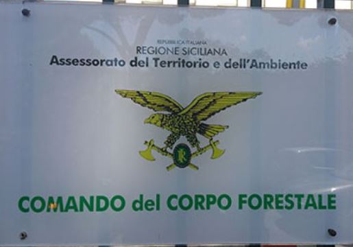 calogero-foti-dirigente-generale-del-corpo-forestale-della-regione